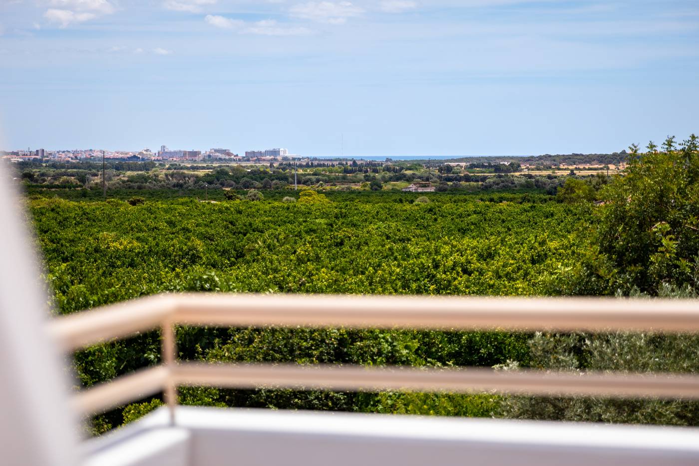 Flor-Da-Laranja-Room-63