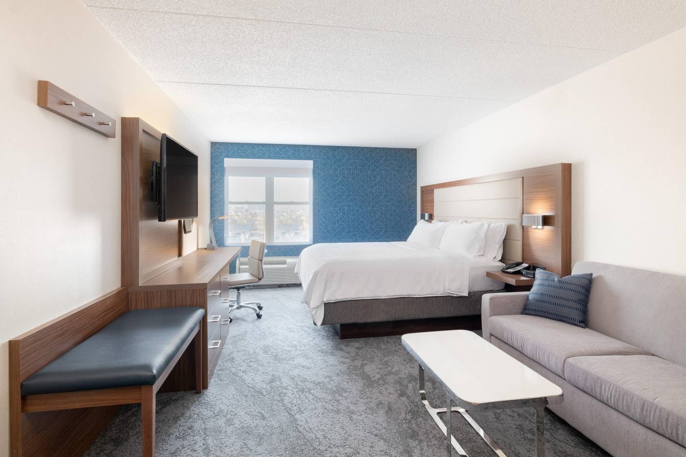 Holiday-Inn-Express---Suites-Boston---Cambridge-Room-22