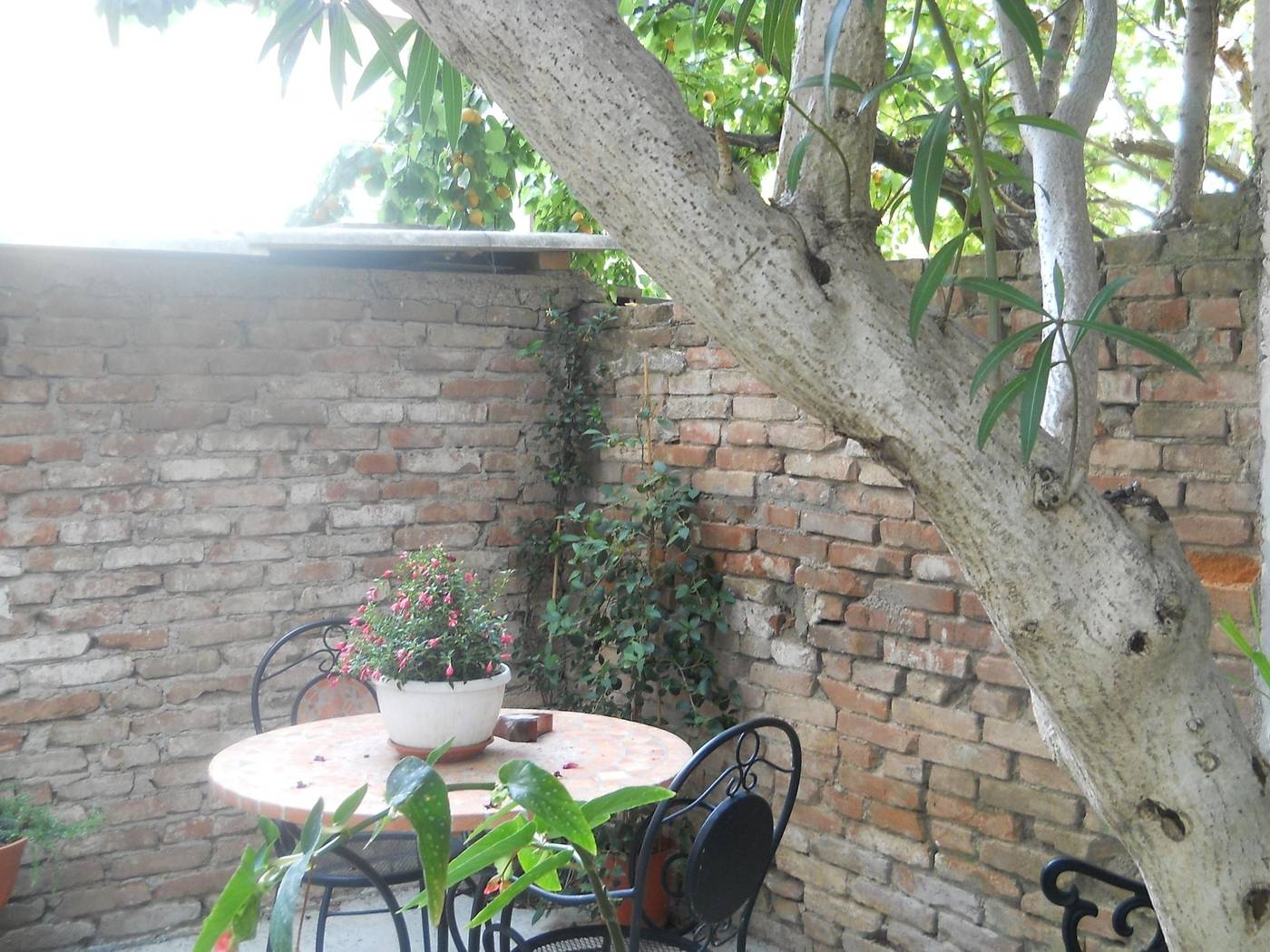 Albergo Sanlorenzo-Italy-GROSSETO -General view-4