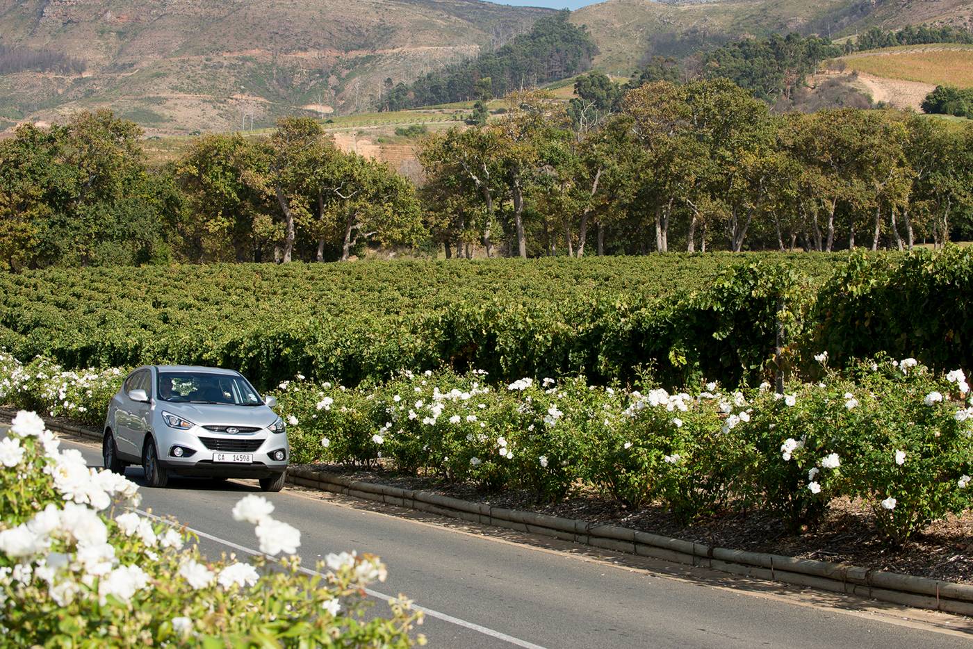 Cape-Cadogan-Sports-and-Entertainment-34