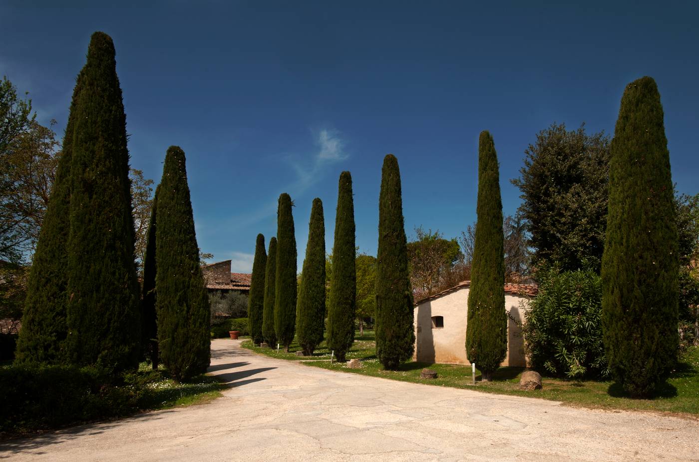 Hotel Relais della Rovere-Italy-COLLE VAL D'ELSA-General view-5