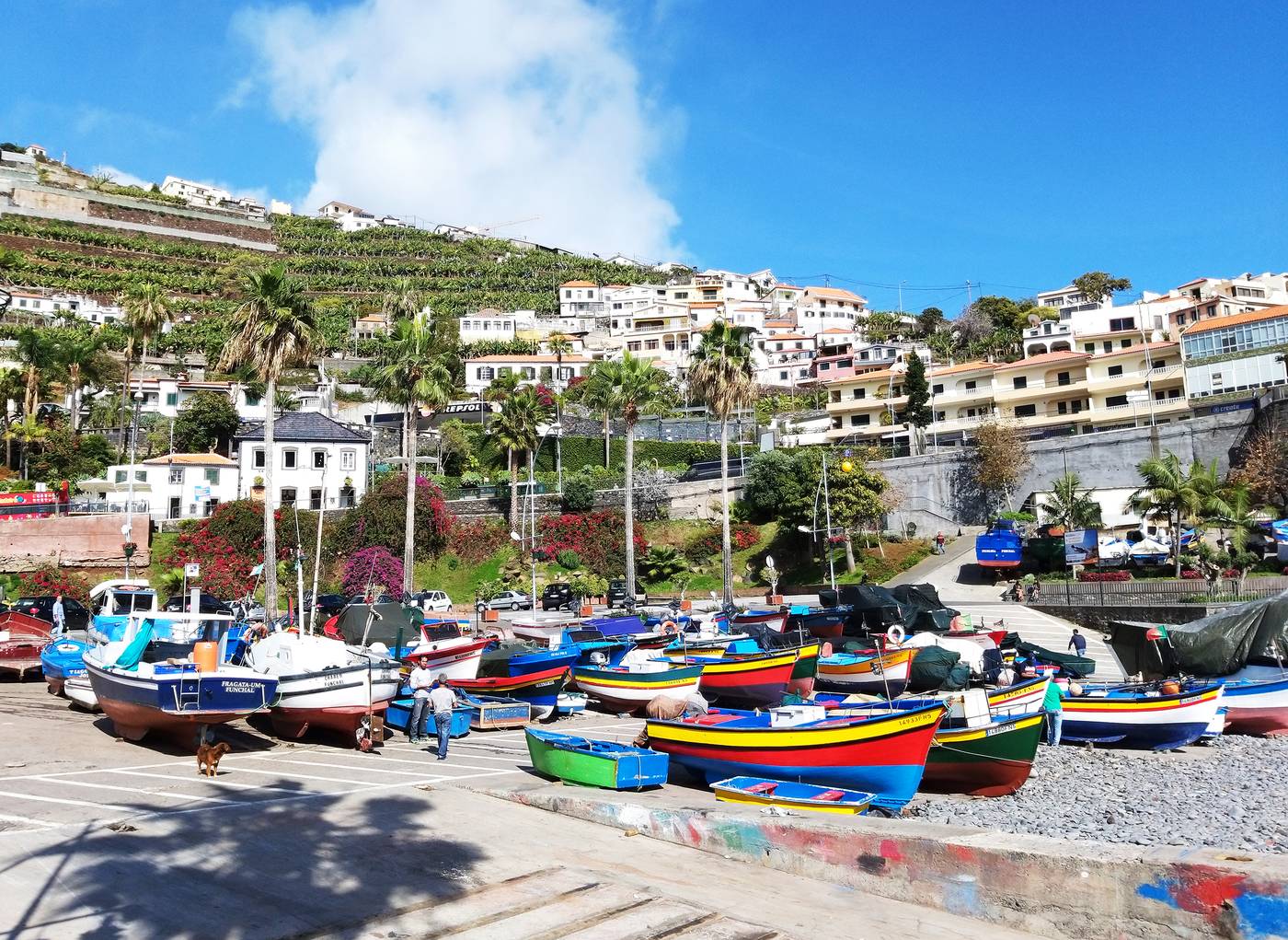 Pestana Churchill Bay-Portugal-CAMARA DE LOBOS-General view-7