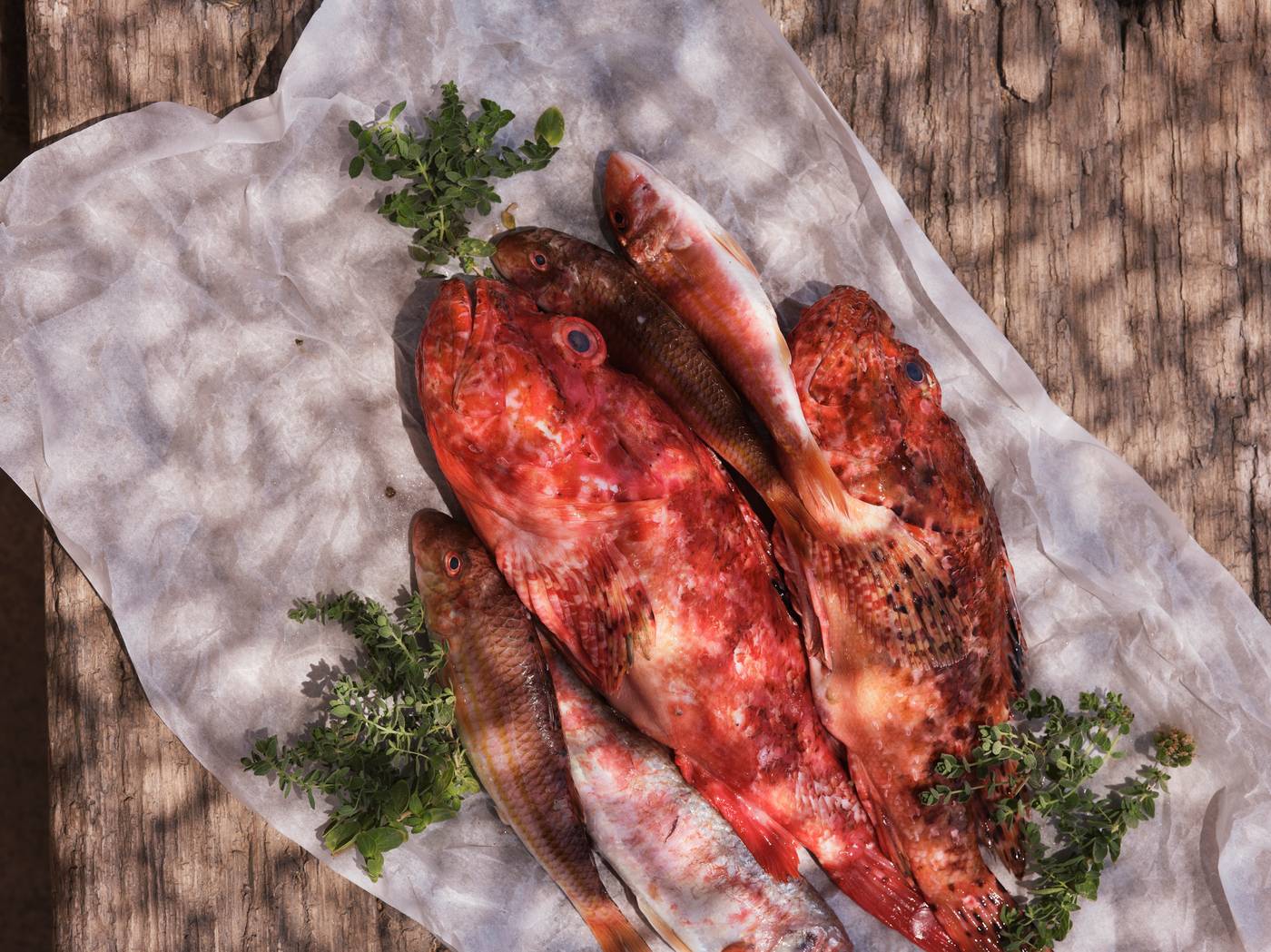 Andronis-Luxury-Suites-Restaurant-91