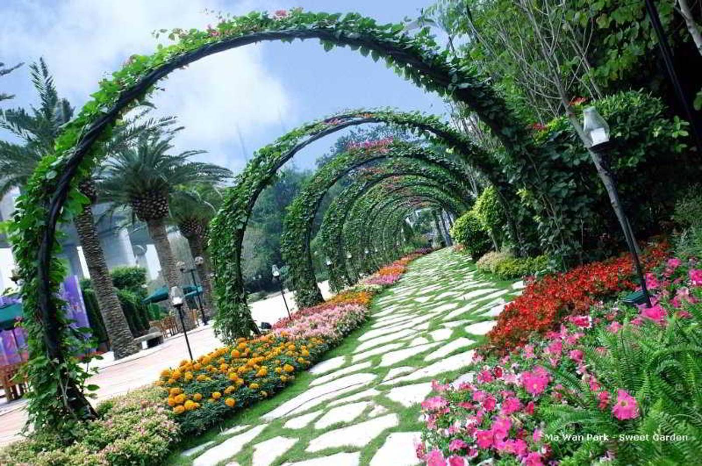 Noah´s Ark Resort-Hong Kong – China-HONG KONG-General view-2
