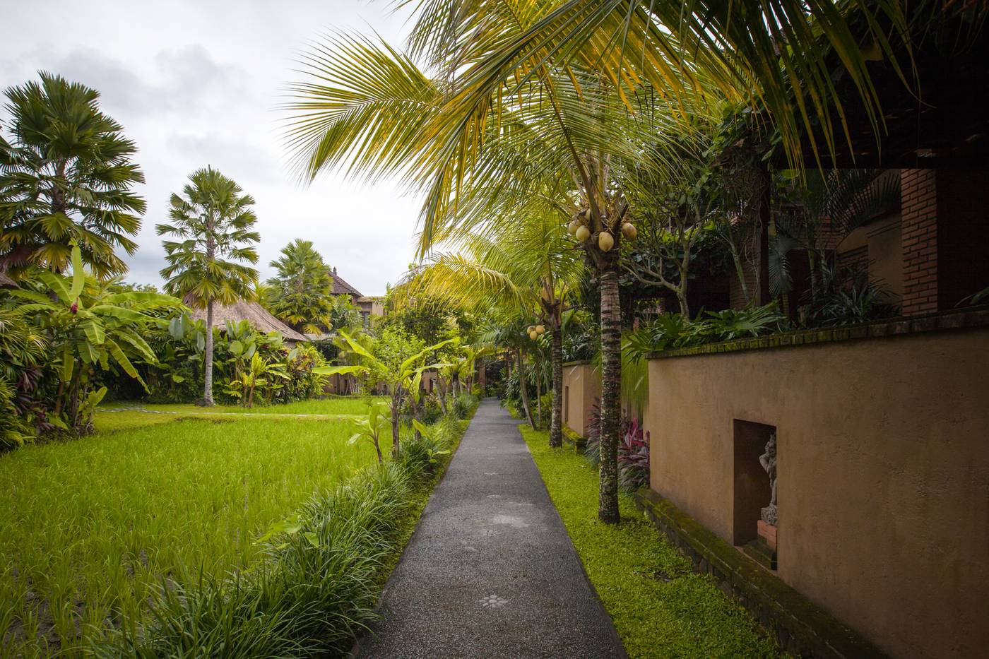 Bebek Tepi Sawah Restaurant & Villas-Indonesia-UBUD-General view-3