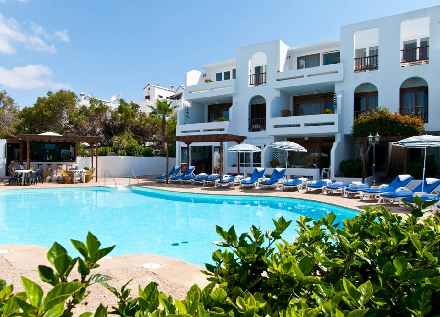 Camel-Spring-General-view-2