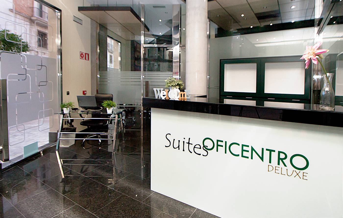Apartamentos Suites Oficentro Deluxe-Spain-MALAGA-Lobby-9