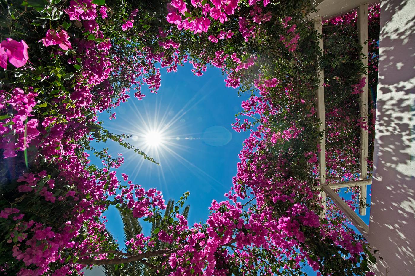 Atlantis-Beach-Villas-General-view-12