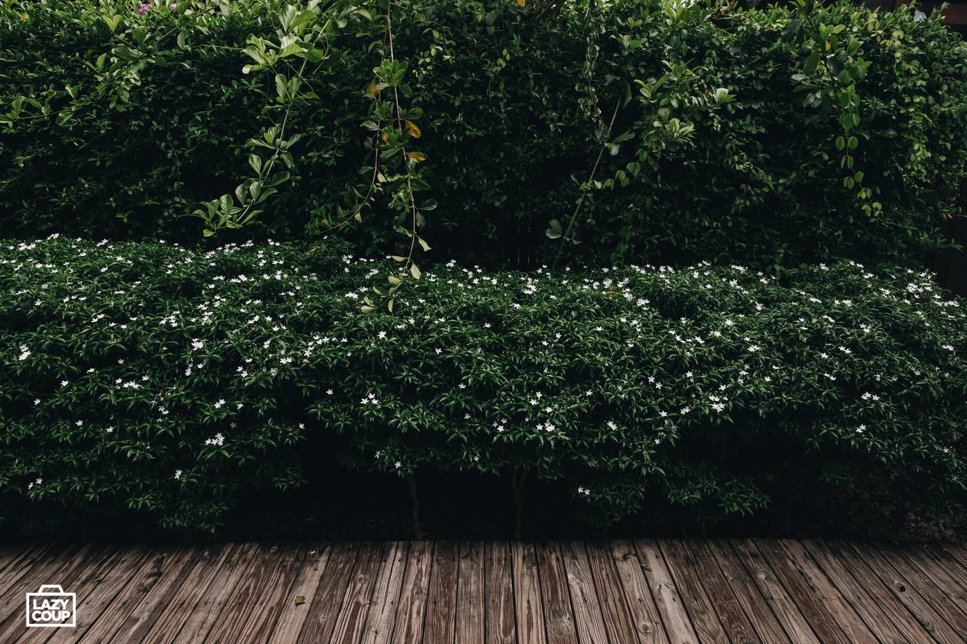 Tango Luxe Beach Villa (SHA Extra+)-Thailand-KO SAMUI-General view-8