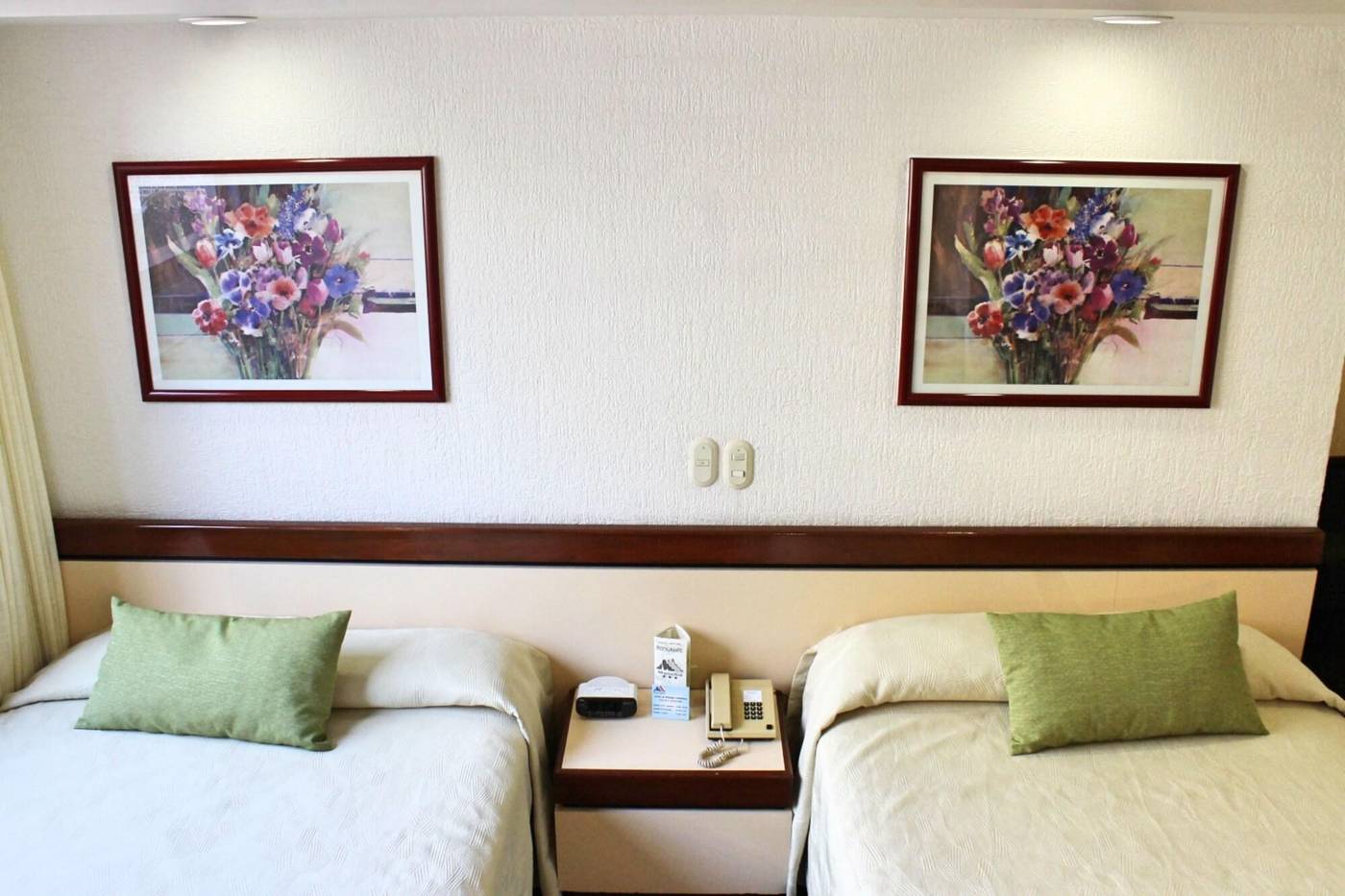 Hotel Manalba-Mexico-MEXICO CITY-Room-9