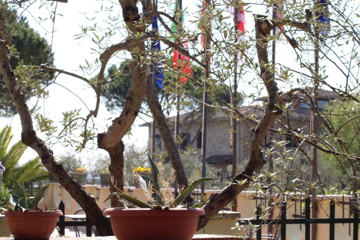 La-Loggia-Villa-Gloria-General-view-56