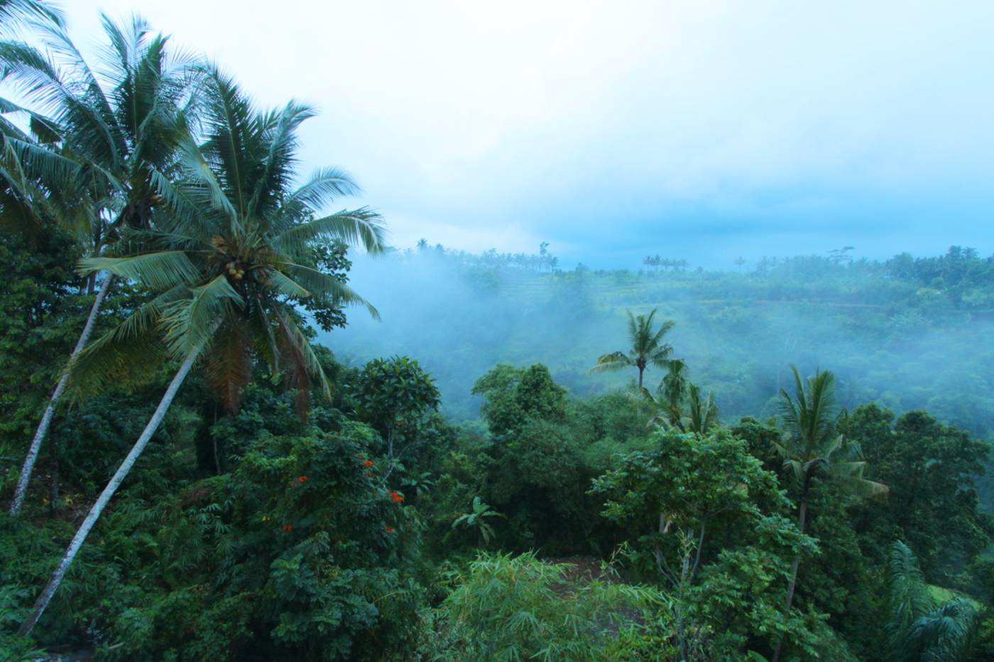 Ashoka Tree Resort at Tanggayuda Ubud-Indonesia-UBUD-General view-8