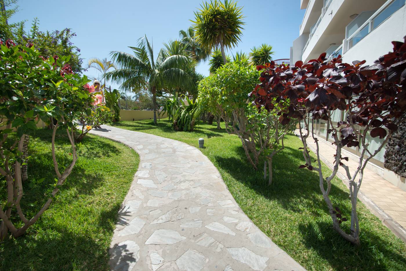 Catalonia-Oro-Negro-General-view-13