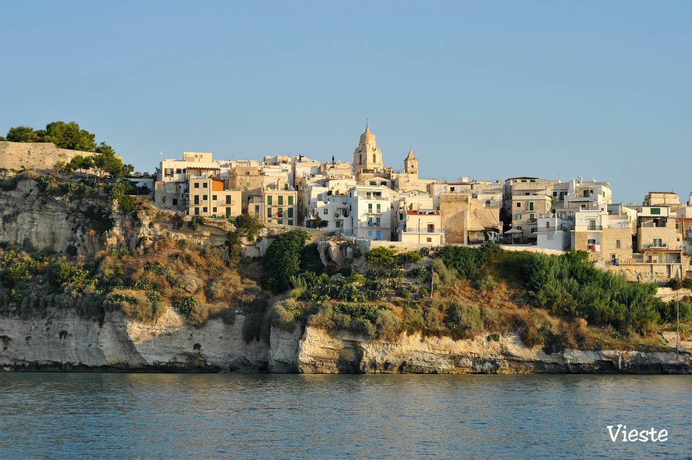 Pizzomunno Vieste Palace Hotel-Italy-VIESTE-General view-10