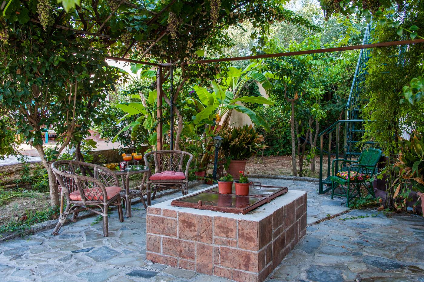 Zante-Nest-Terrace-77