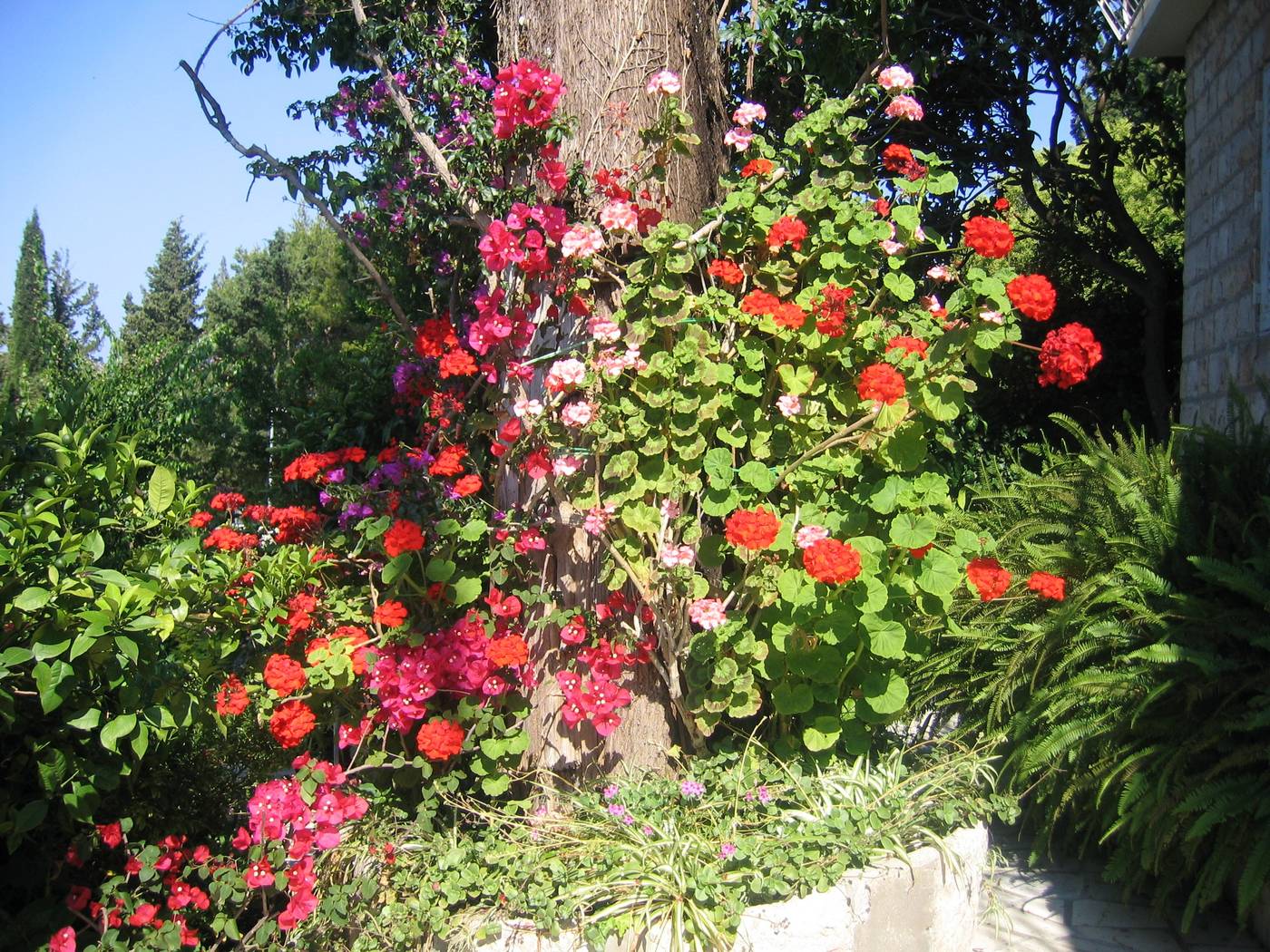 Guest-House-Villa-Nina-Room-16