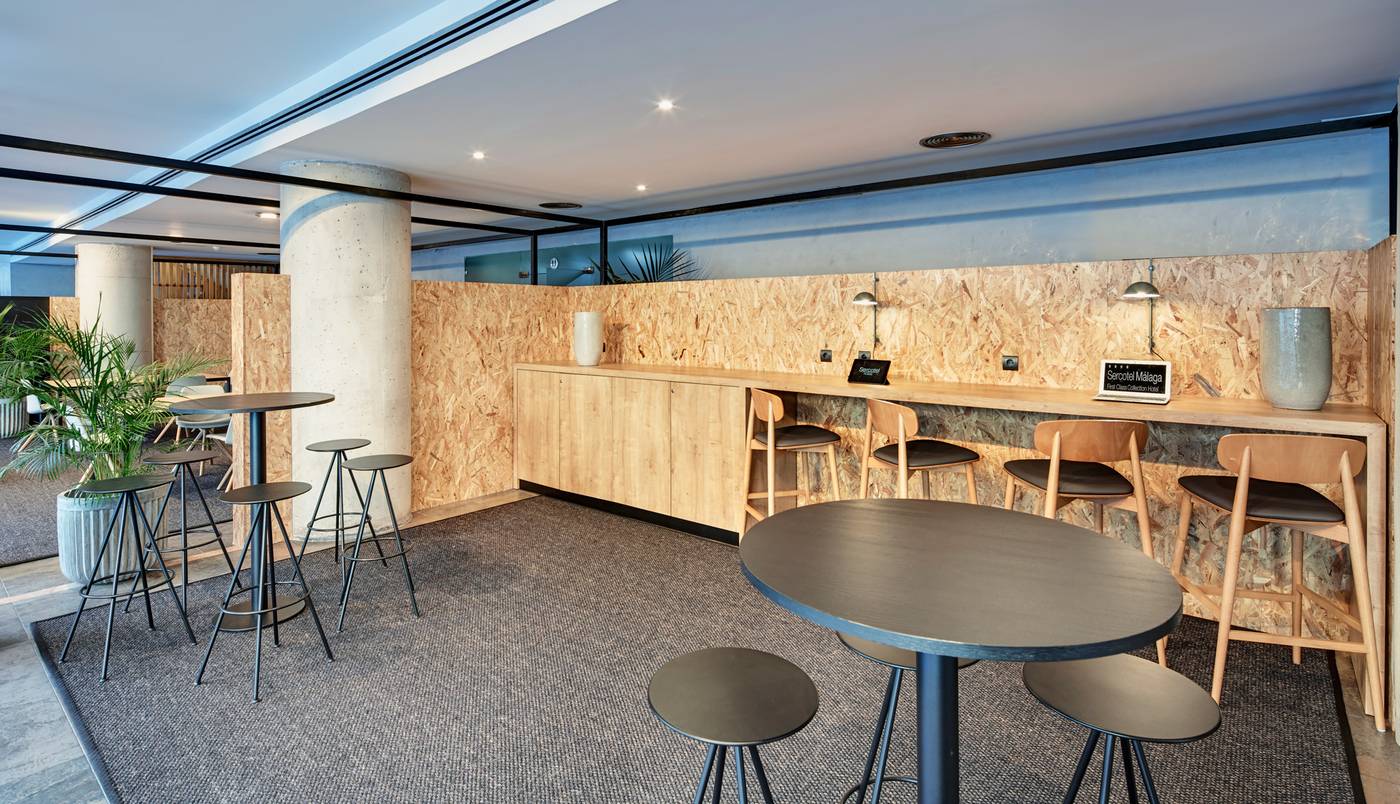 Sercotel-Malaga--ex-Silken-Puerta--Conferences-39