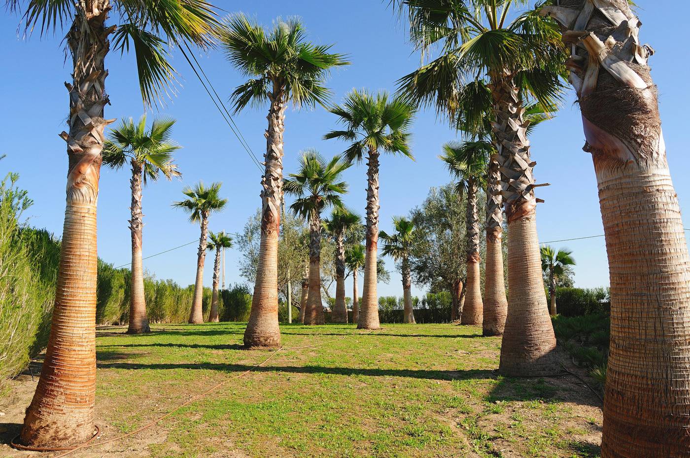 Montargil-Monte-Novo-General-view-4