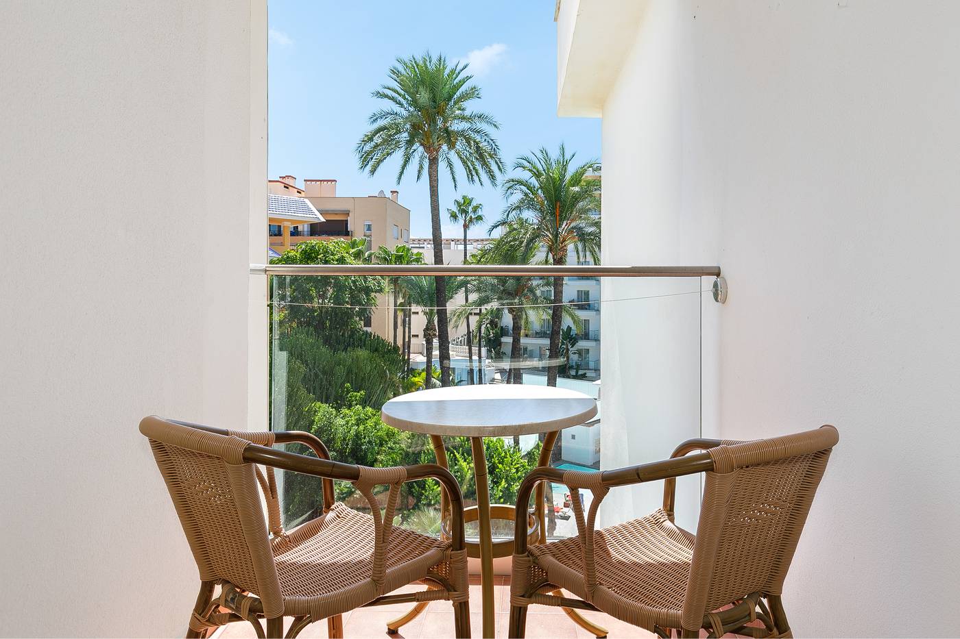 15.08.25 Sol Don Pedro