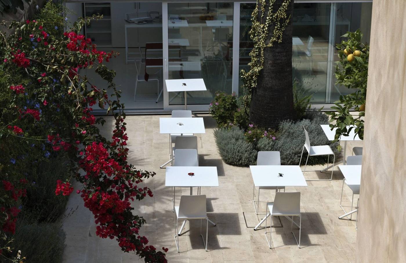 La-Moresca-Restaurant-7