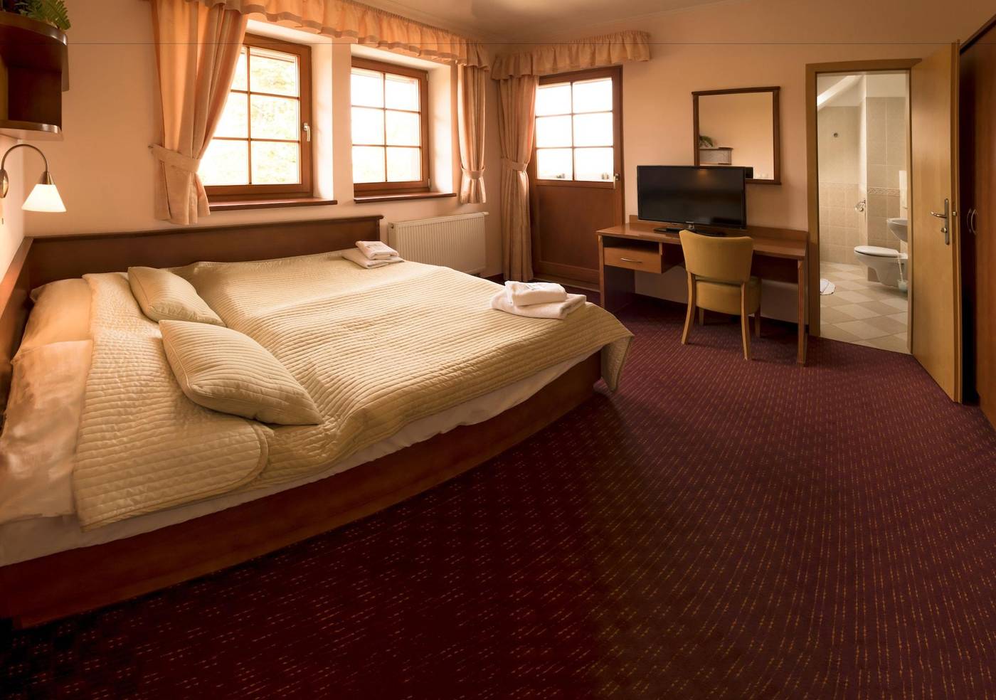 Hotel Vitkova Hora-Czech Republic-KARLOVY VARY-Room-6