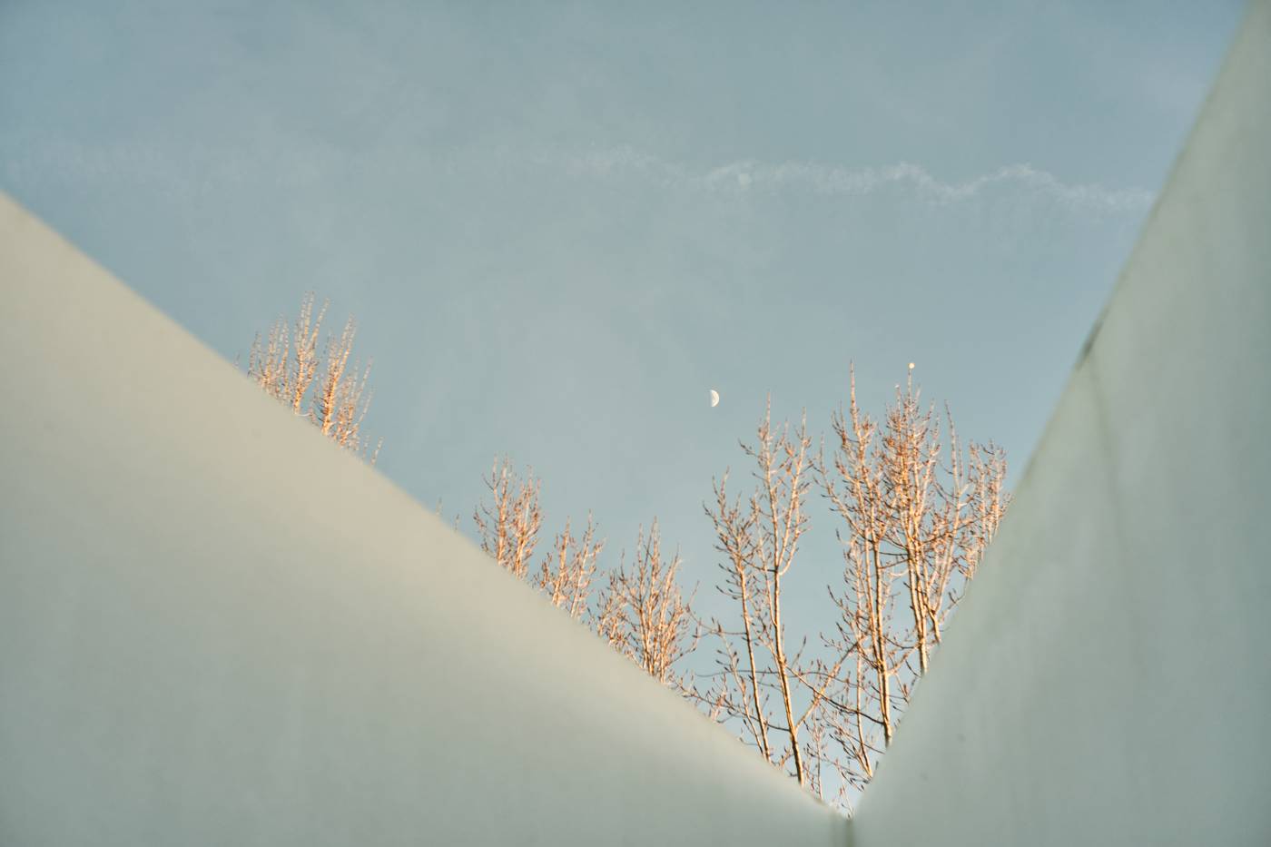 L'AND Vineyards-Portugal-MONTEMOR-O-NOVO-General view-3