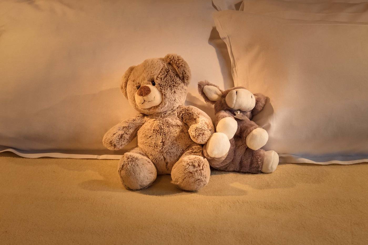 Hotel-Montbriand---Ex-Alixia-Room-21