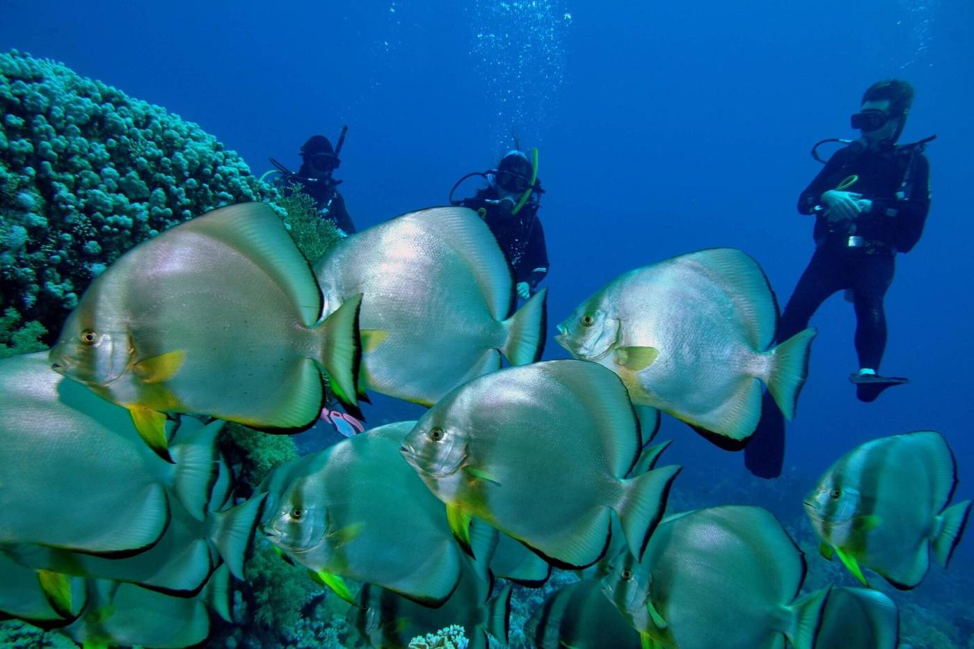 Renaissance-Sharm-El-Sheikh-Golden-View-Beach-Rest-General-view-23