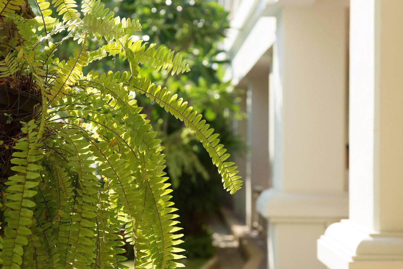 Kalanan-Riverside-Resort-Lobby-66