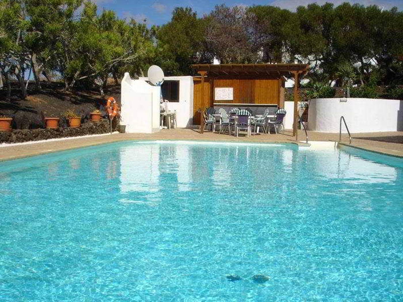 Camel-Spring-Pool-19