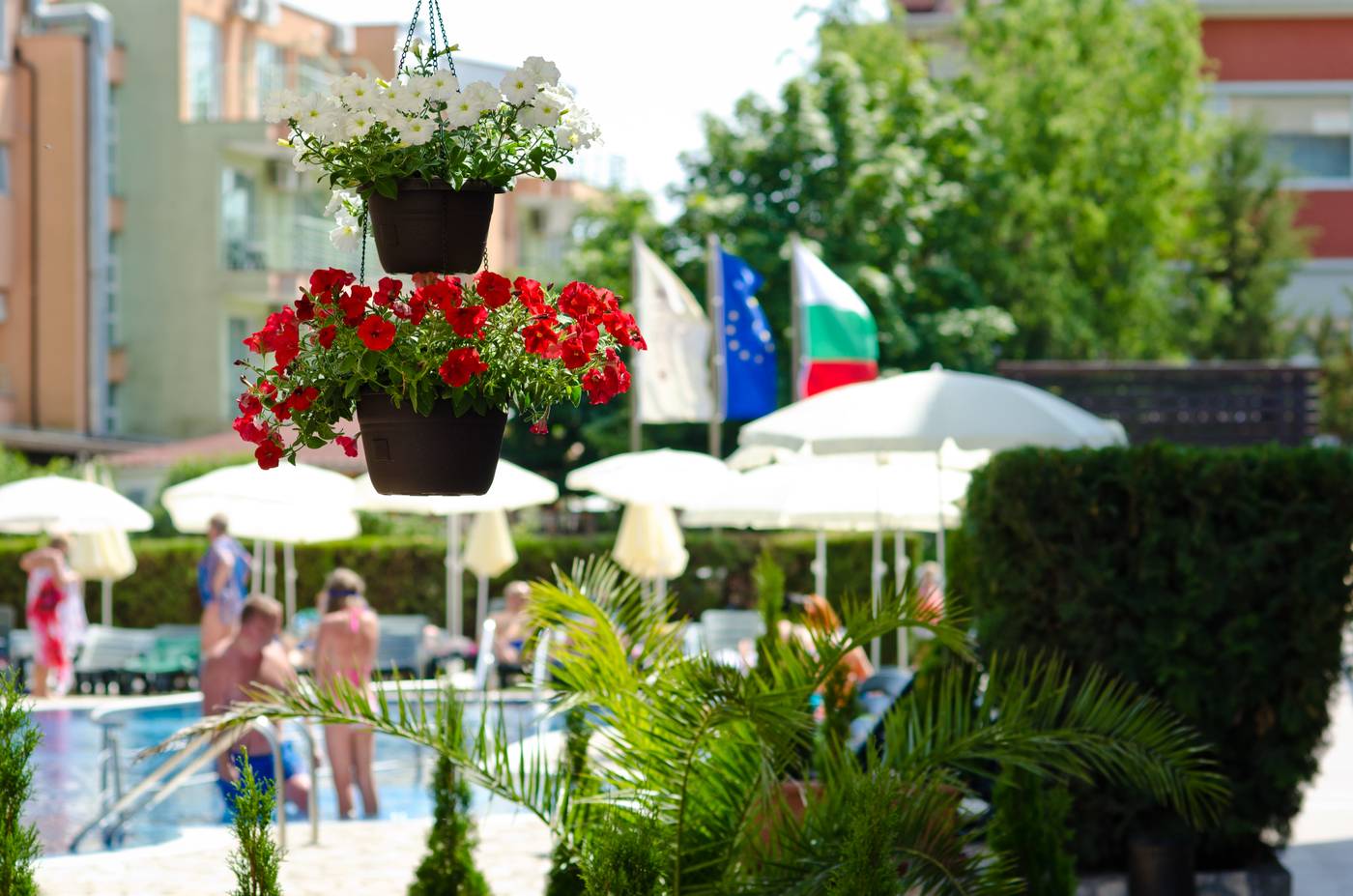 Lion-Sunny-Beach-Pool-7