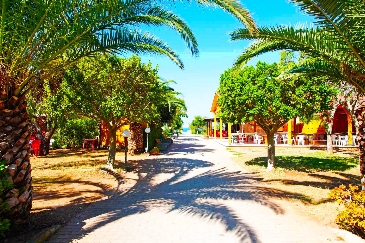 Suite Hotel Dominicus-Italy-GRISOLA LIDO-Lobby-2