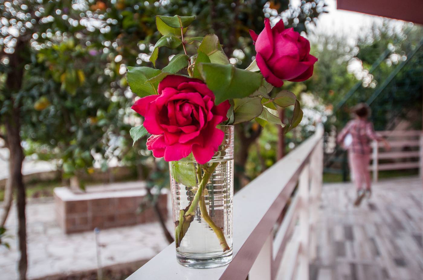 Zante-Nest-Terrace-14