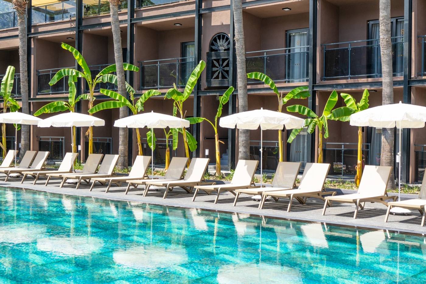 Golden-Sun-General-view-10