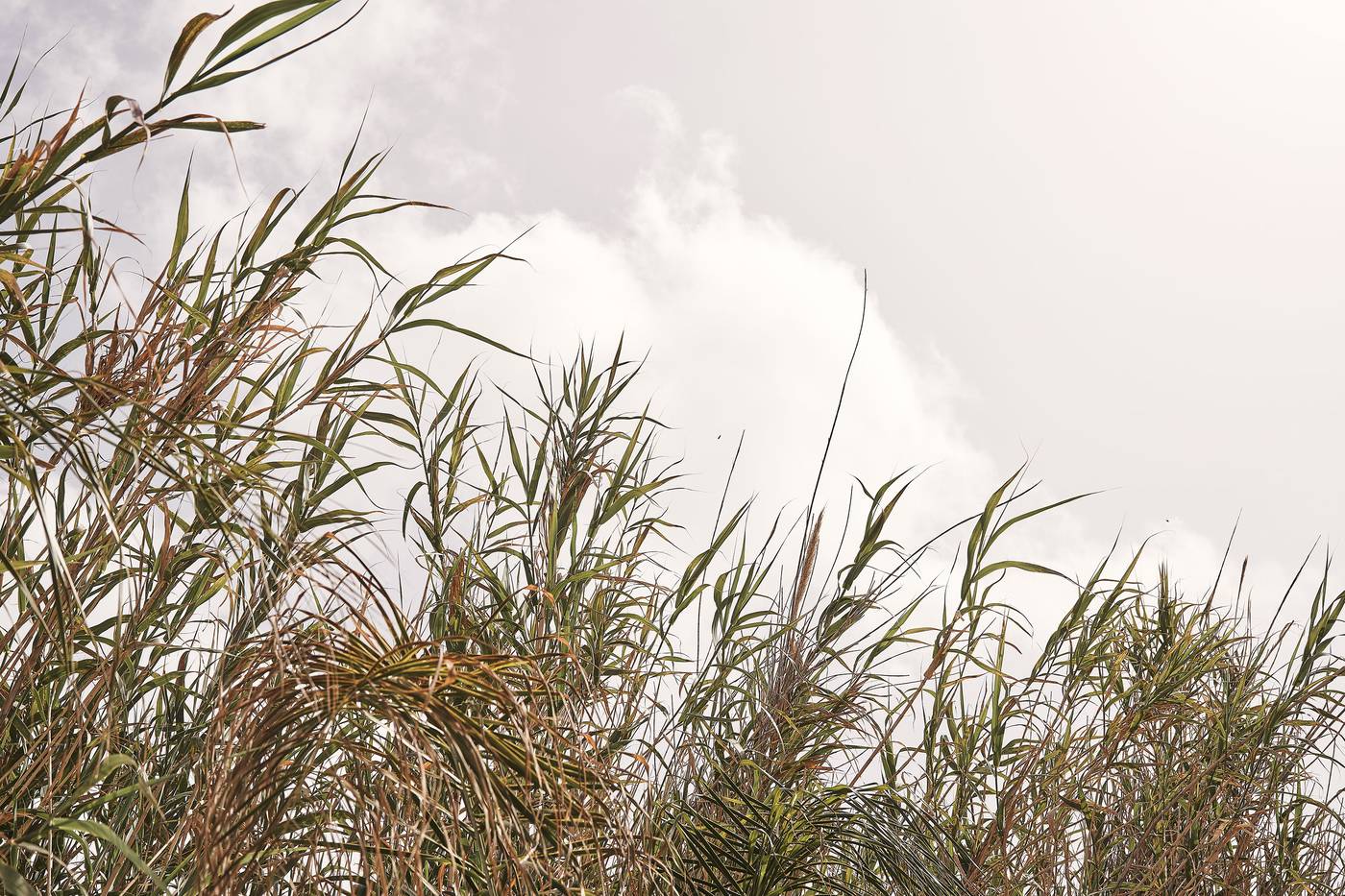 Amyth-of-Mykonos-Hotel-Lobby-15