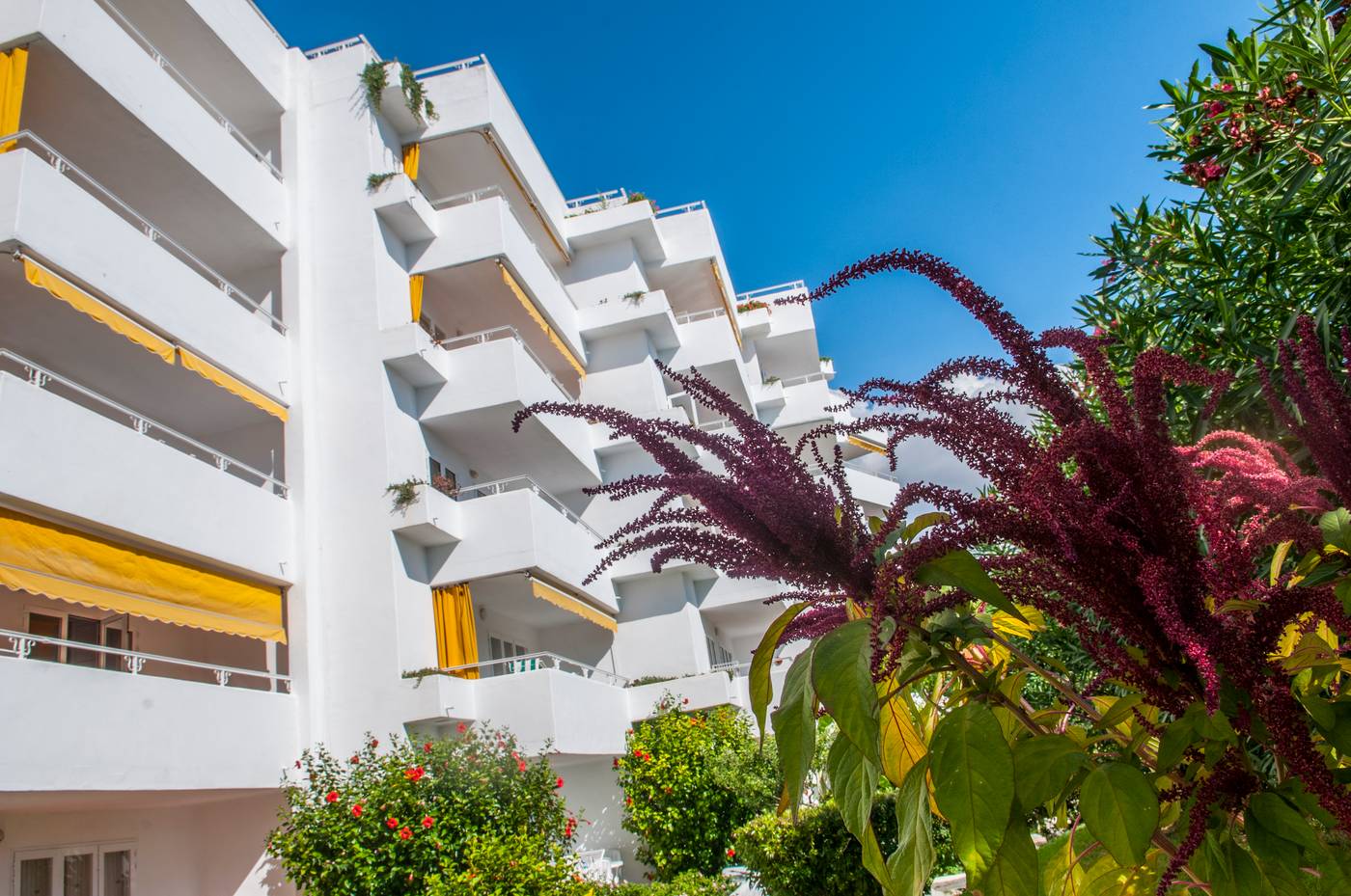 Hamilton-Court-General-view-8