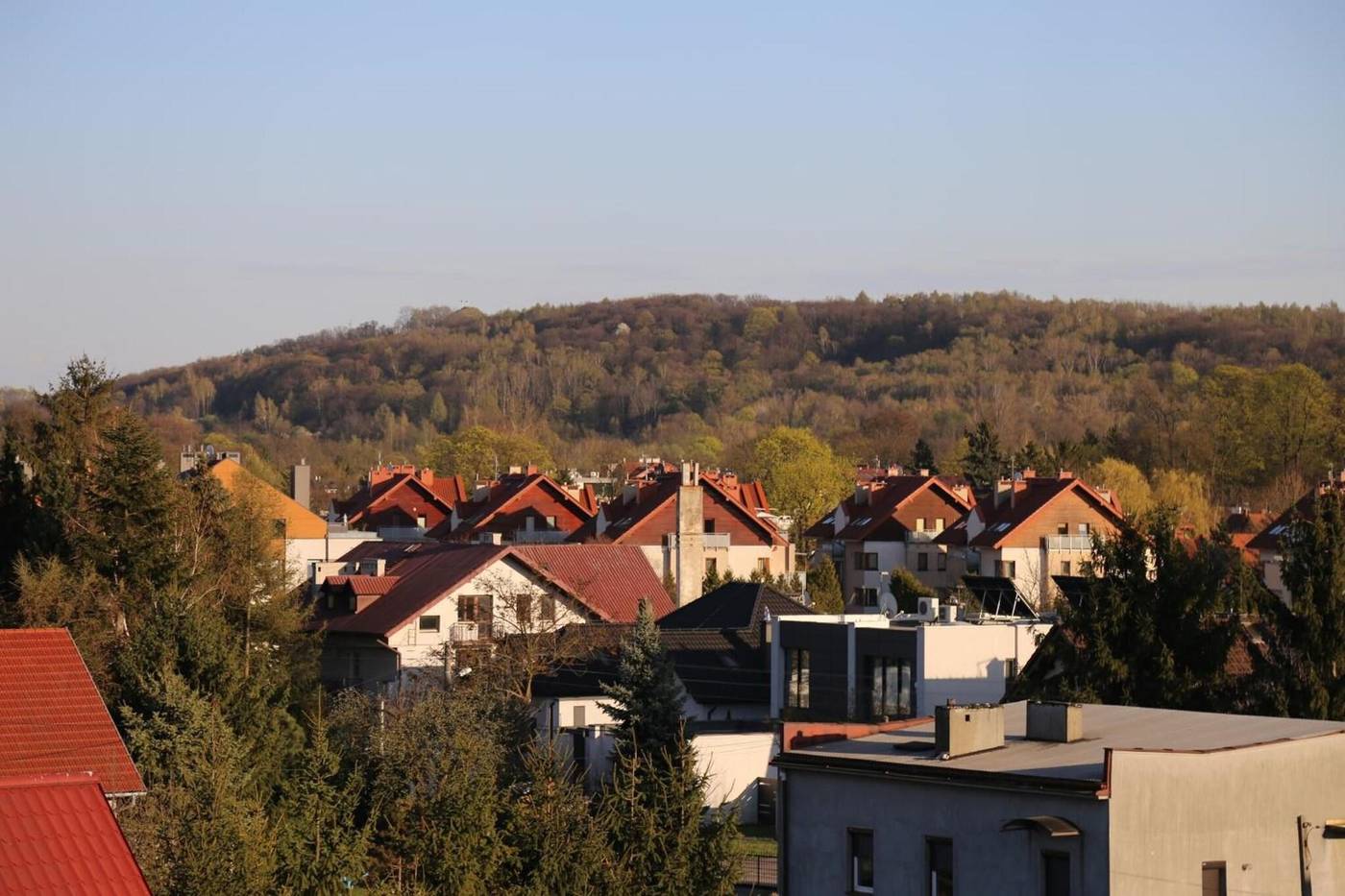 Daisy-Superior-General-view-1