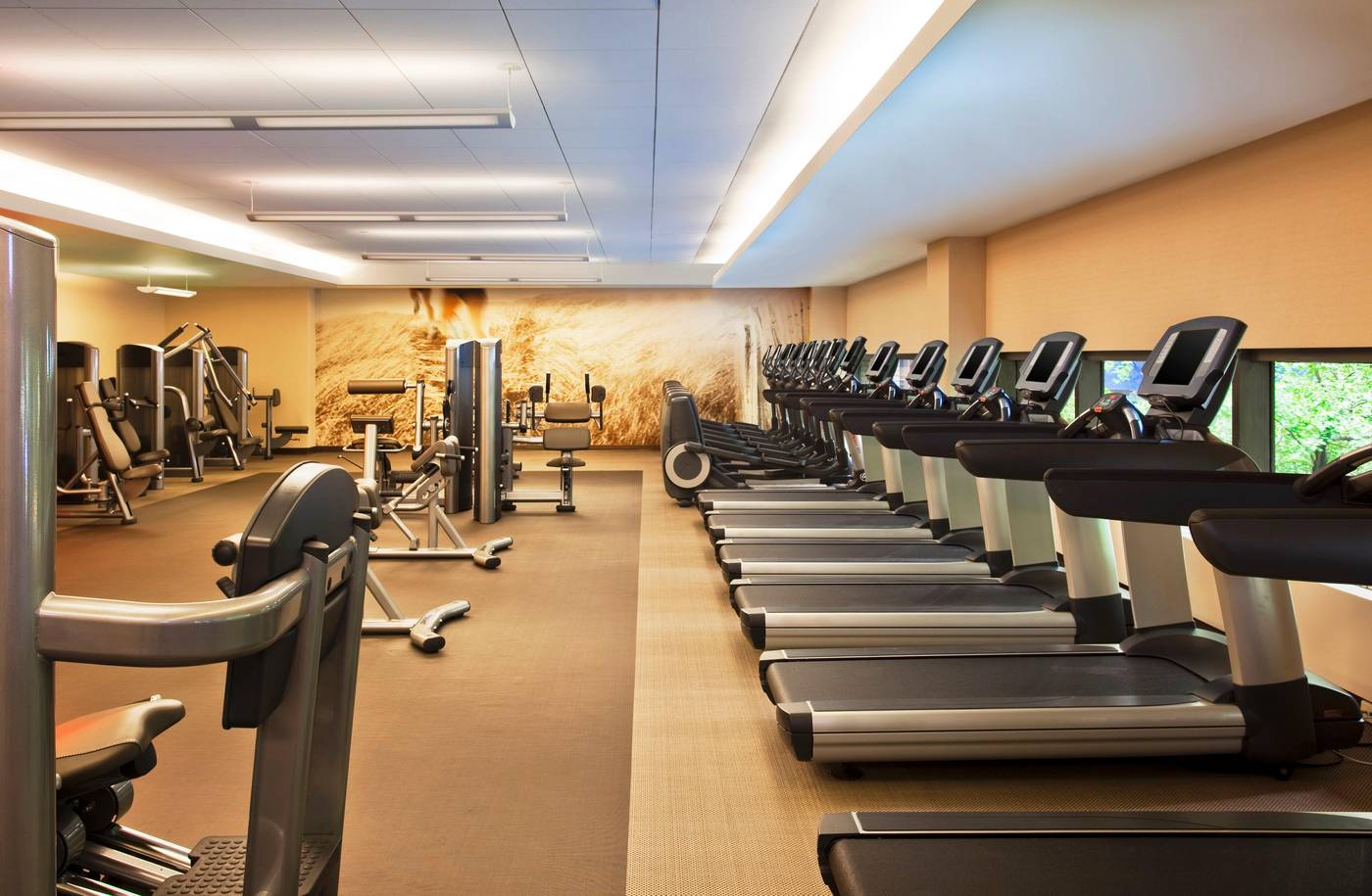 Westin-New-York-Grand-Central-Hotel-Sports-and-Entertainment-43