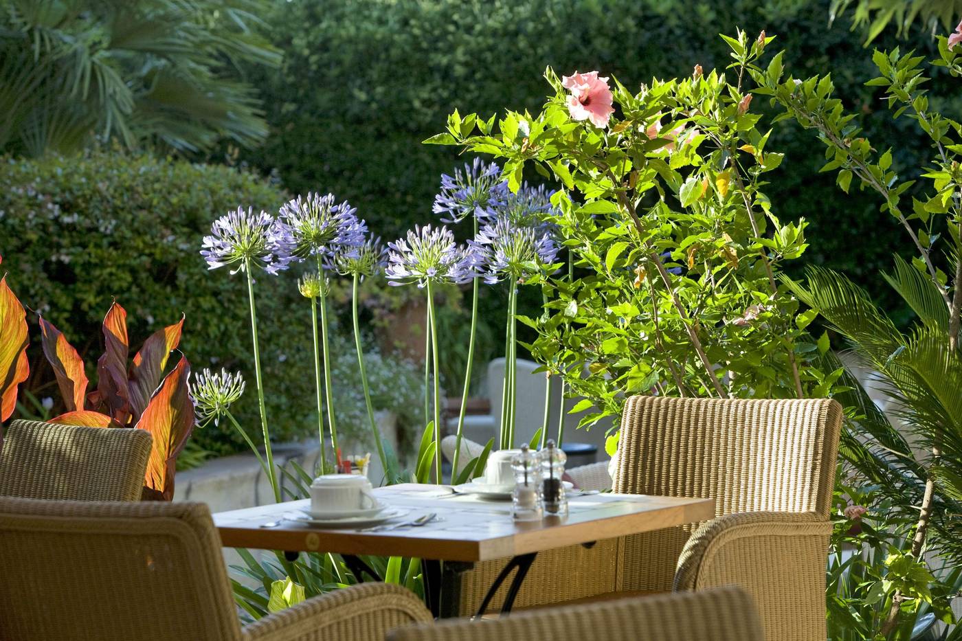 Best-Western-Premier-Montfleuri-General-view-18