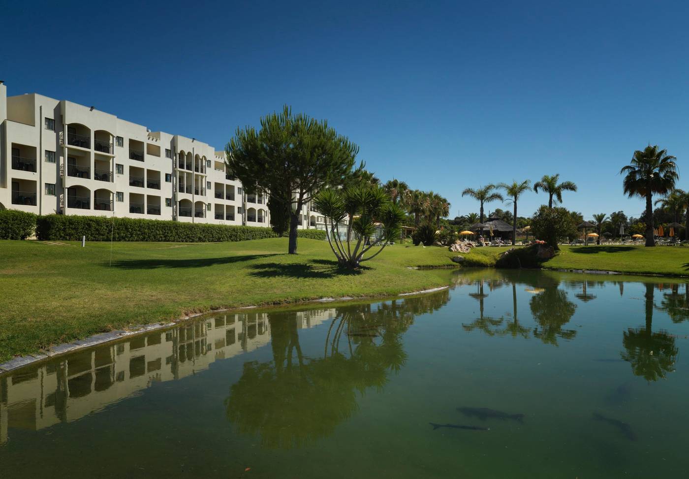 The-Navigator---Palm-Oasis-Alvor-General-view-13