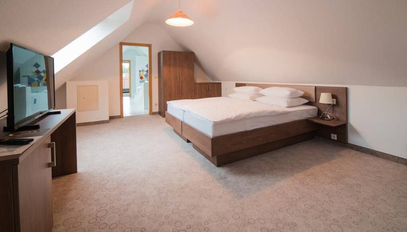 Hotel Am Wasen-Germany-FREIBERG AM NECKAR-Room-10