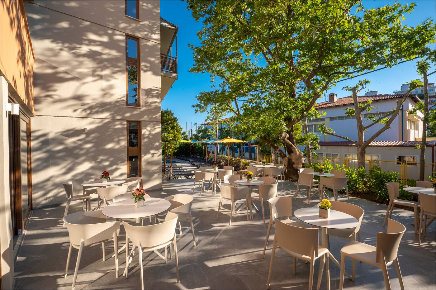 Alkyon-Hotel---Skiathos-Bar-17