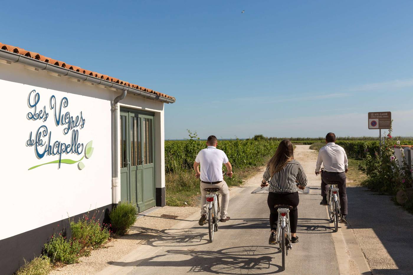 Les Vignes de la Chapelle, The Originals Relais-France-STE MARIE - ILE DE RE-General view-7