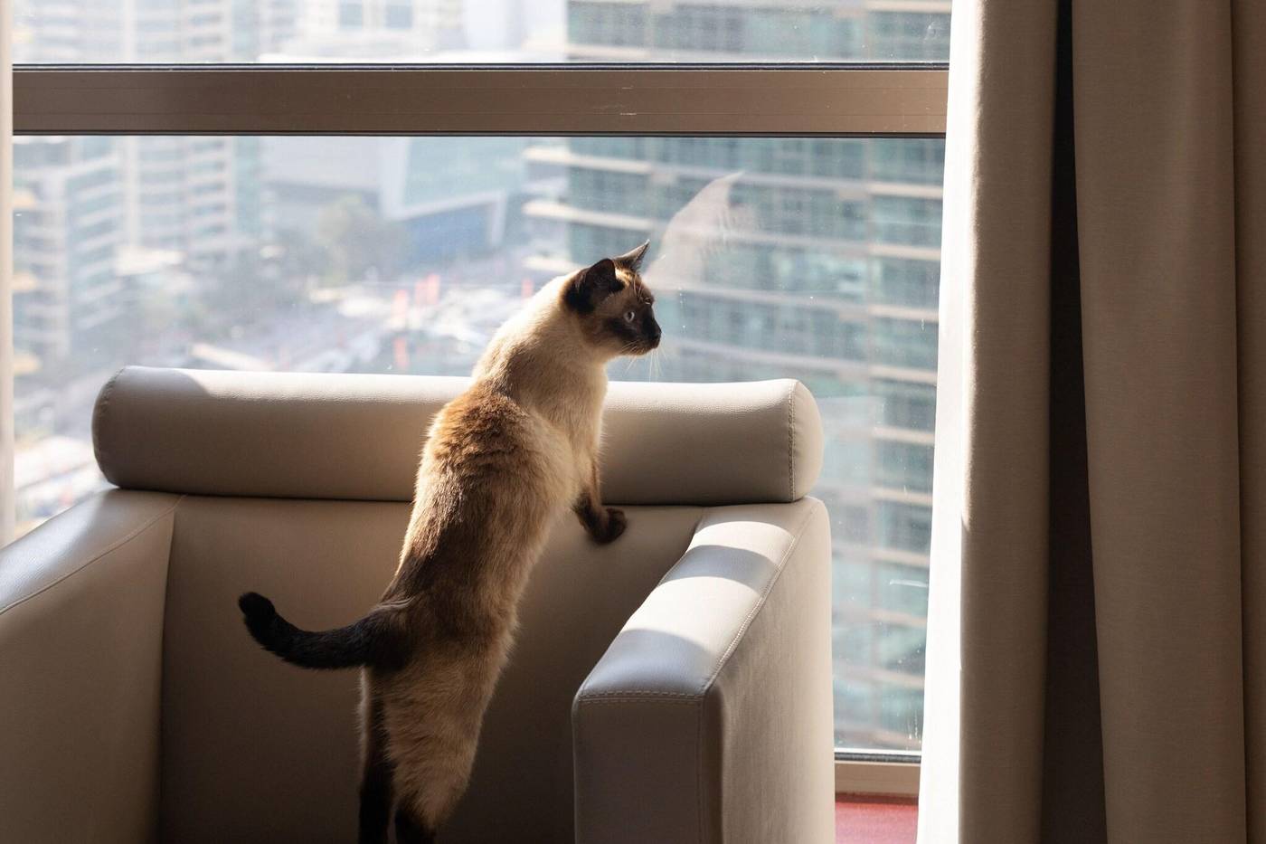 Delta-Hotels-by-Marriott-Jumeirah-Beach-General-view-54