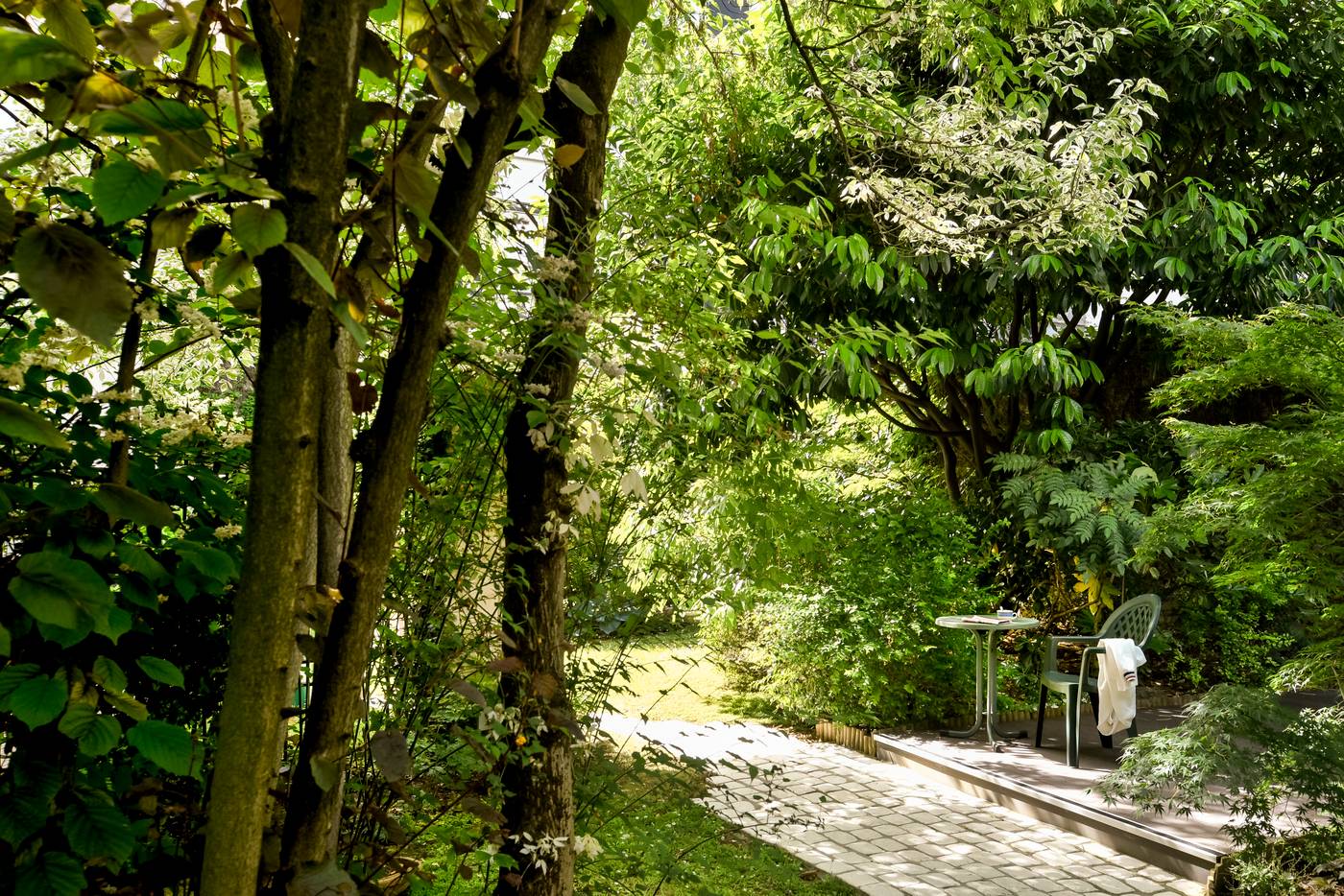 Abaca-Messidor-by-Happyculture-General-view-45