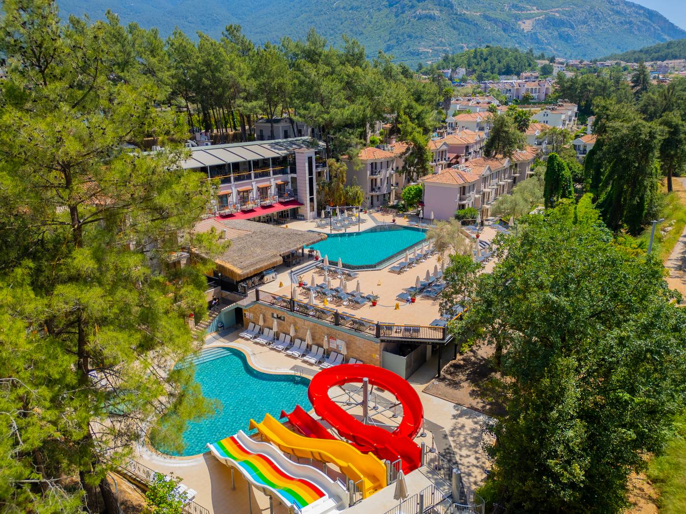 Bird Eye Pool 1.jpg