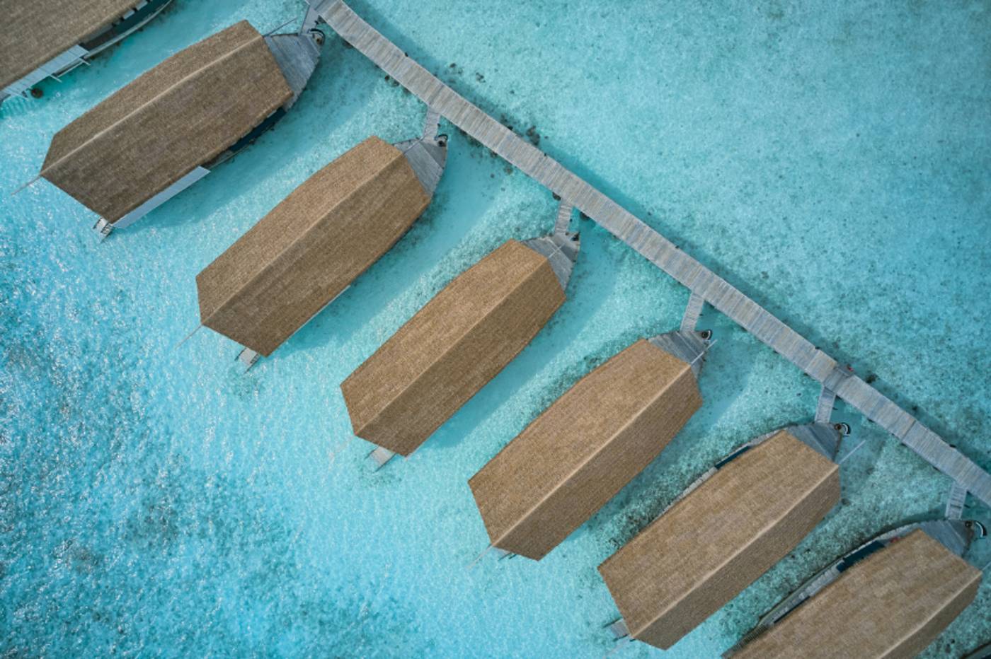 COMO Cocoa Island 19.11