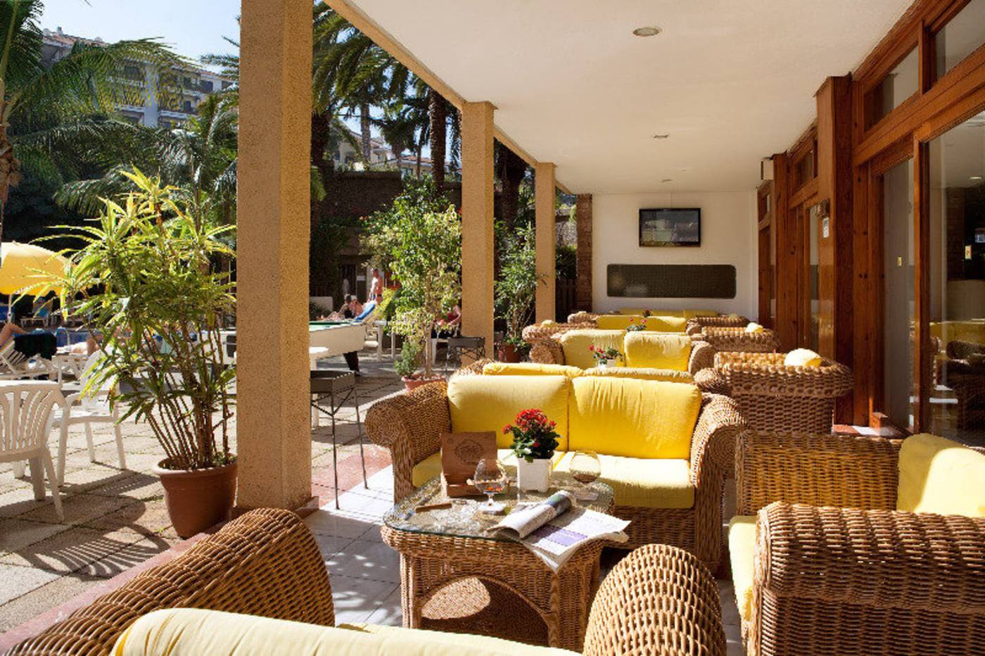 Smy-Puerto-de-la-Cruz-Terrace-14