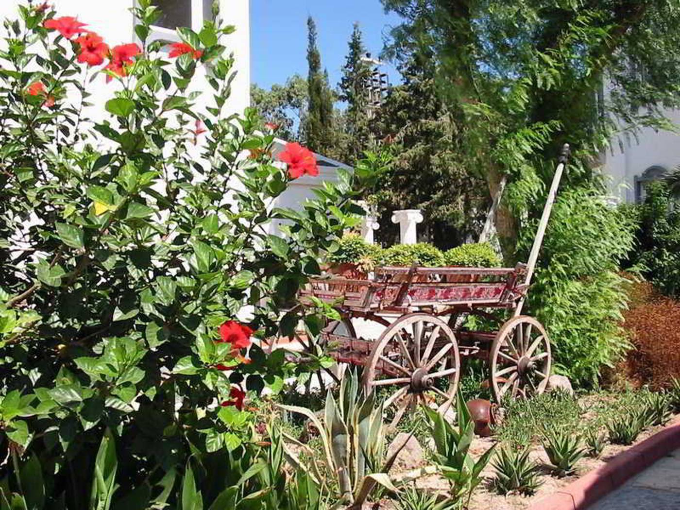 Siesta-Beach-Apart-General-view-7