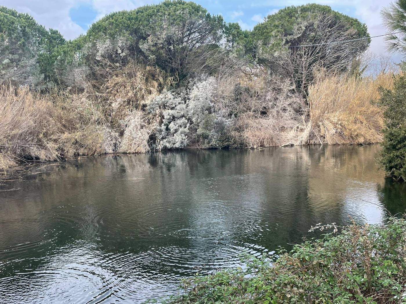 La-Canova-II-Room-33